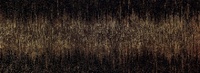 Stardust Black 32.8x89.8см